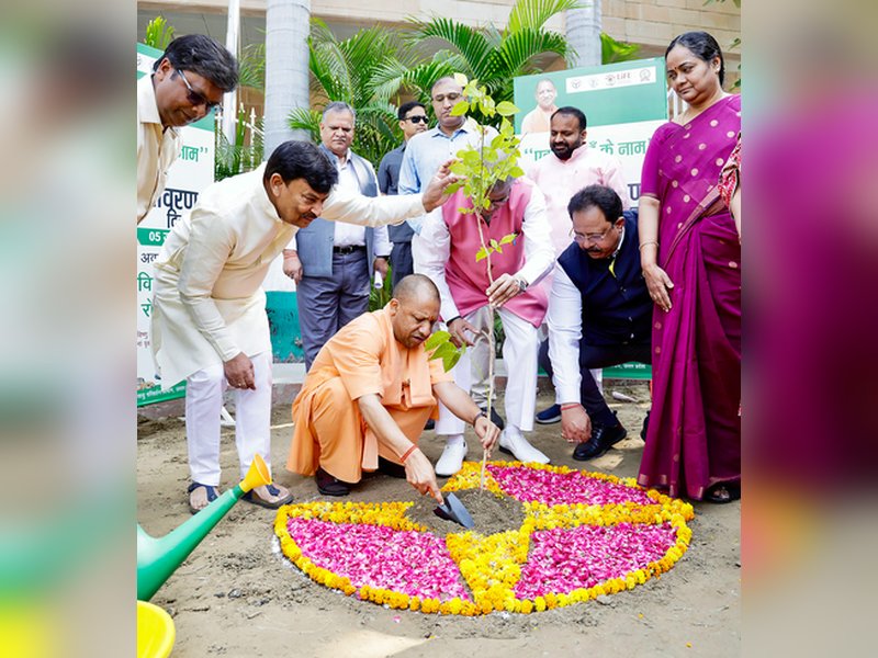 यूपी को ‘हरित प्रदेश’ बनाने में जुटी योगी सरकार, 9 वर्ष में लगाए गए 242 करोड़ से अधिक पौधे