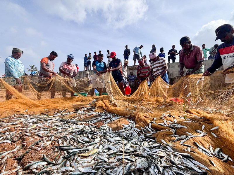 GPS devices boost fishing yields, nutrition in Car Nicobar: Ministry