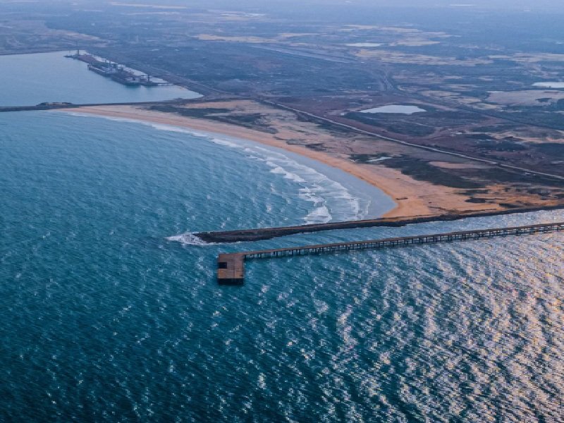गोवा से ज्यादा मनमोहक है उड़ीसा का आर्यपल्ली बीच, नीला समंदर और सुनहरा रेगिस्तान मोह लेगा मन