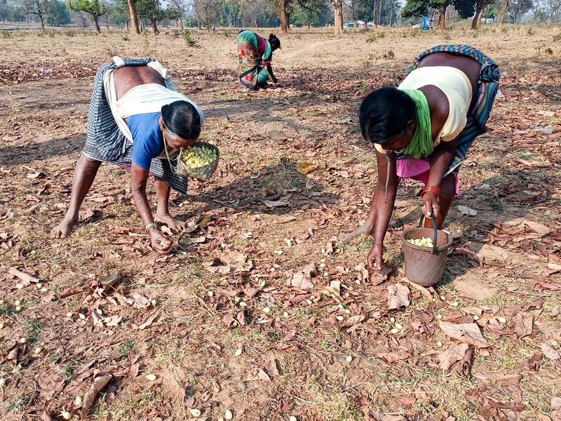 Sharp rise in funds for rural and tribal areas fuelling inclusive growth: Govt