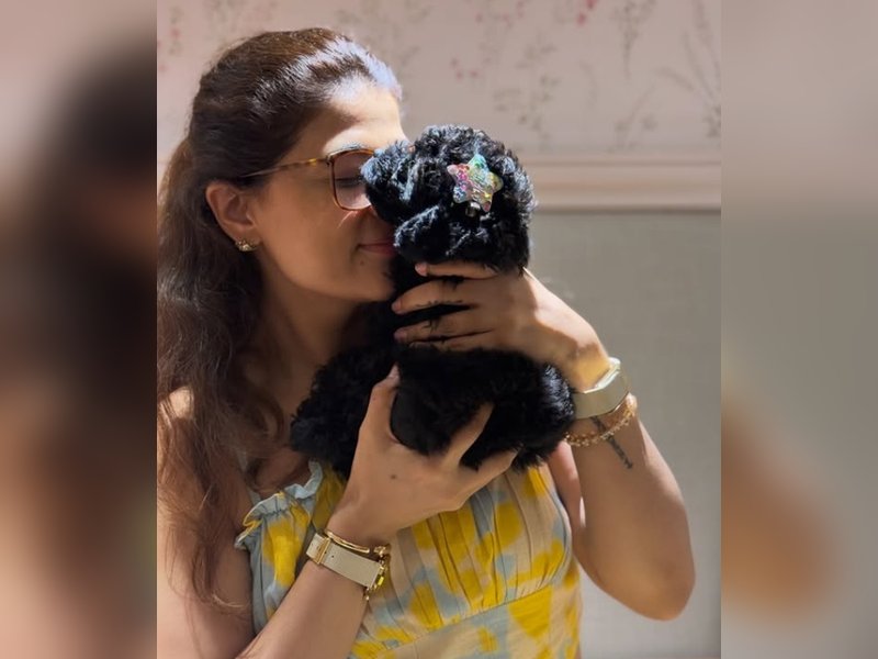 Ayushmann Khurrana, Tahira Kashyap’s newest family member is a toy poodle named Imli