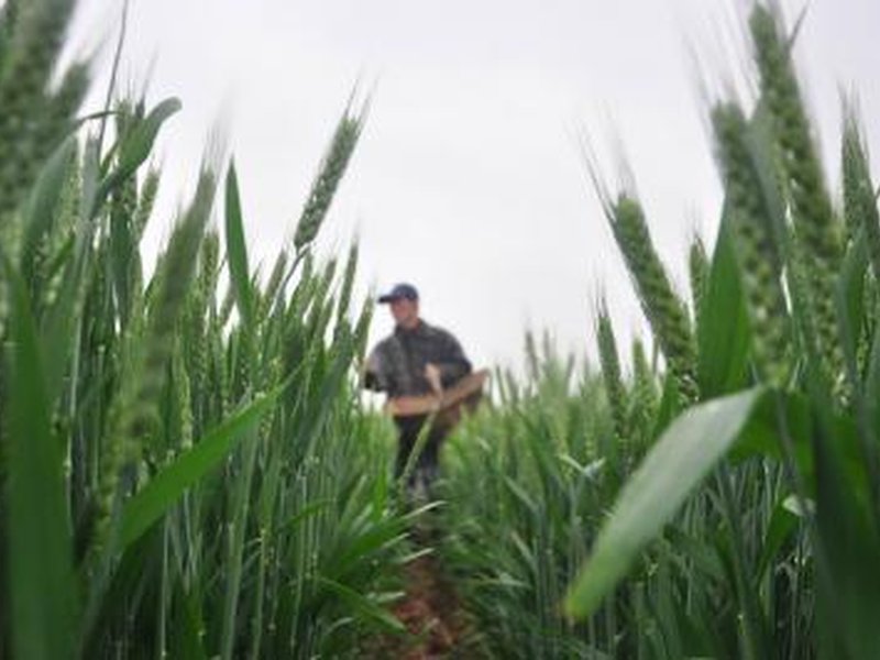 US-Venezuela move may ease fertilizer costs