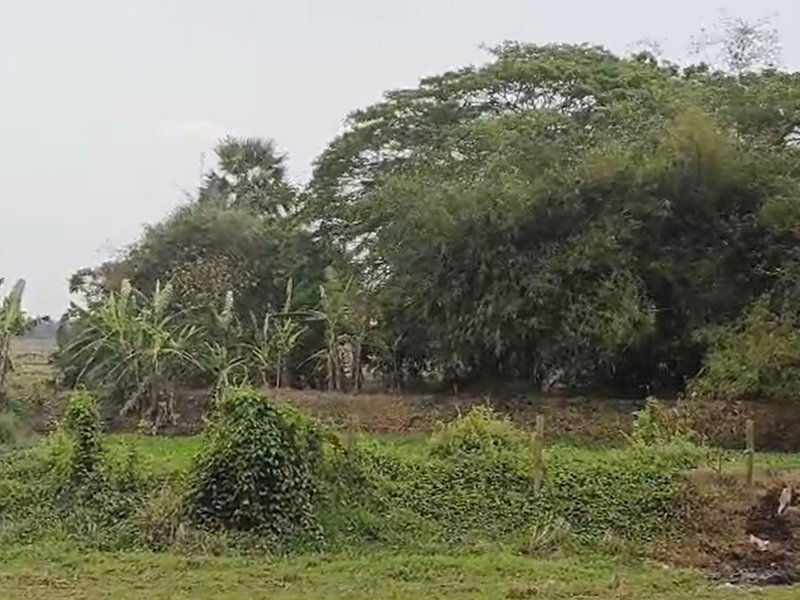 ओडिशाः केंद्रपाड़ा के कुशुनुपुर को ‘स्मार्ट विलेज’ के रूप में चुना गया, वैज्ञानिक नवाचार से बदलेगी तस्वीर