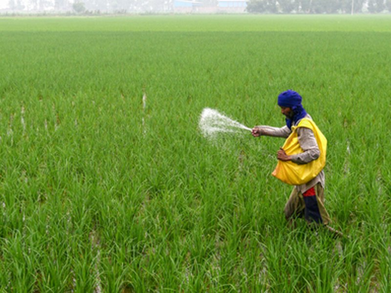 पीएम-किसान योजना के तहत किसानों को जारी राशि 4.27 लाख करोड़ रुपए के पार