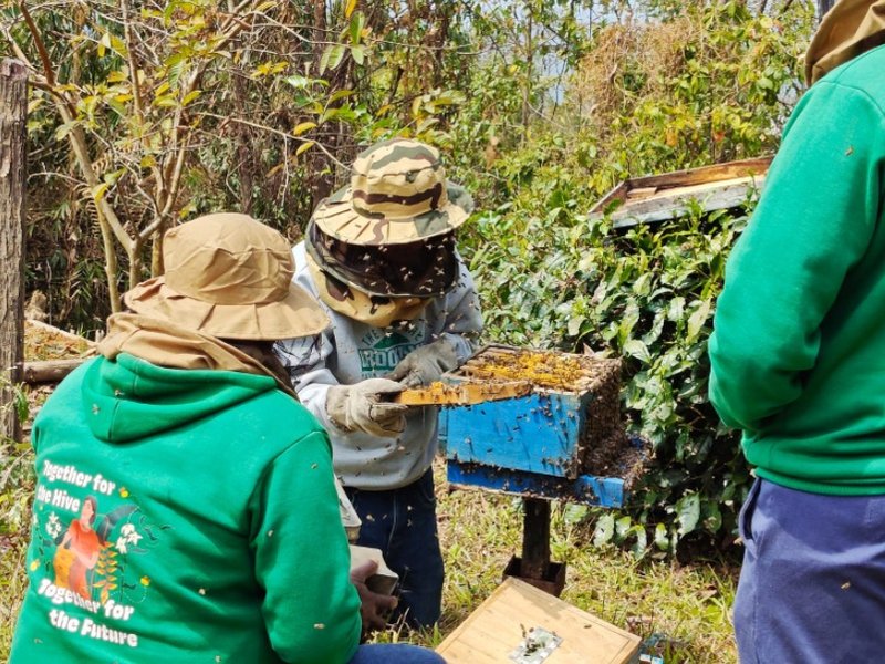 मणिपुर: पीएम धन धान्य योजना के तहत शहद उत्पादन क्रांति लाने को तैयार तामेंगलोंग जिला, 1000 लीटर मासिक लक्ष्य