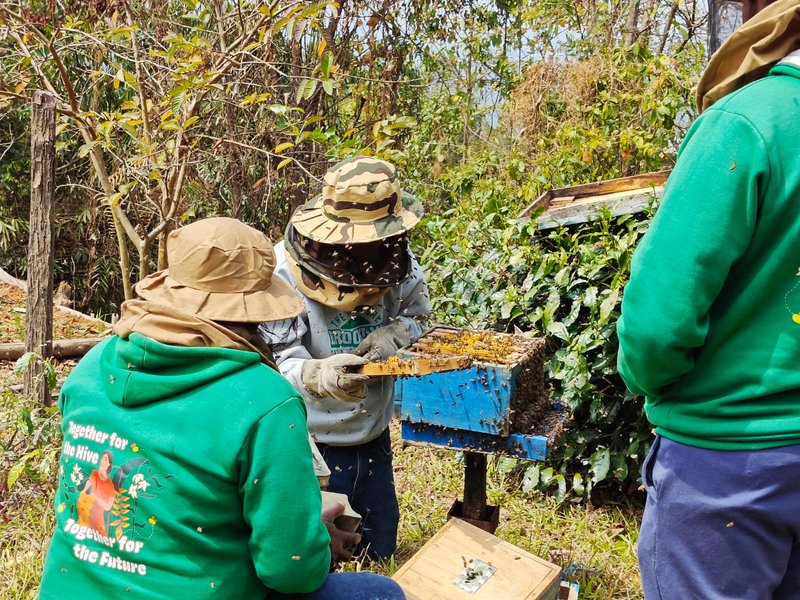Manipur: Over 100 farmers get training to ramp up honey production in Tamenglong​ (Photo: IANS)