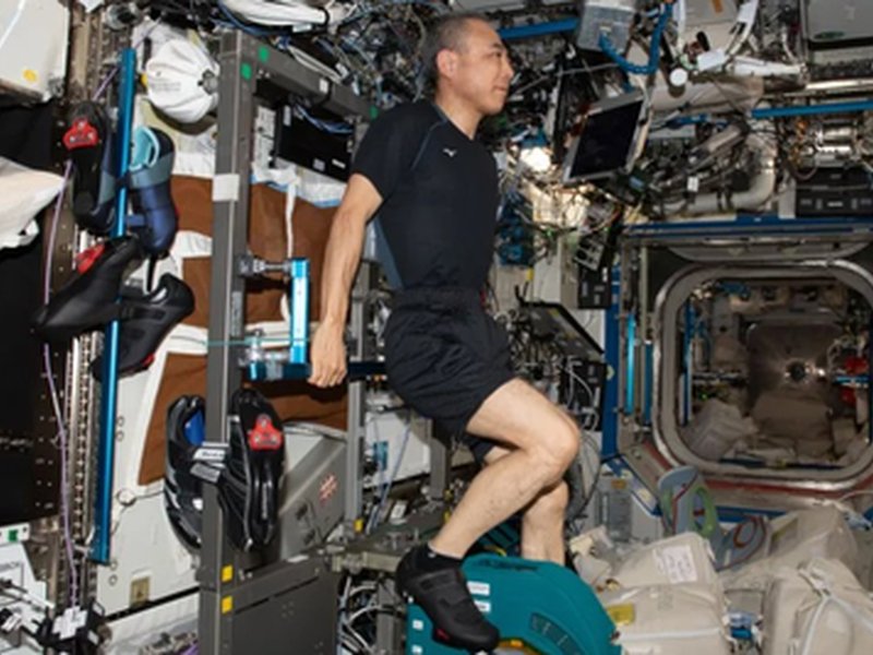 स्पेस रेडिएशन क्या है और एस्ट्रोनॉट्स इससे कैसे बचते हैं?