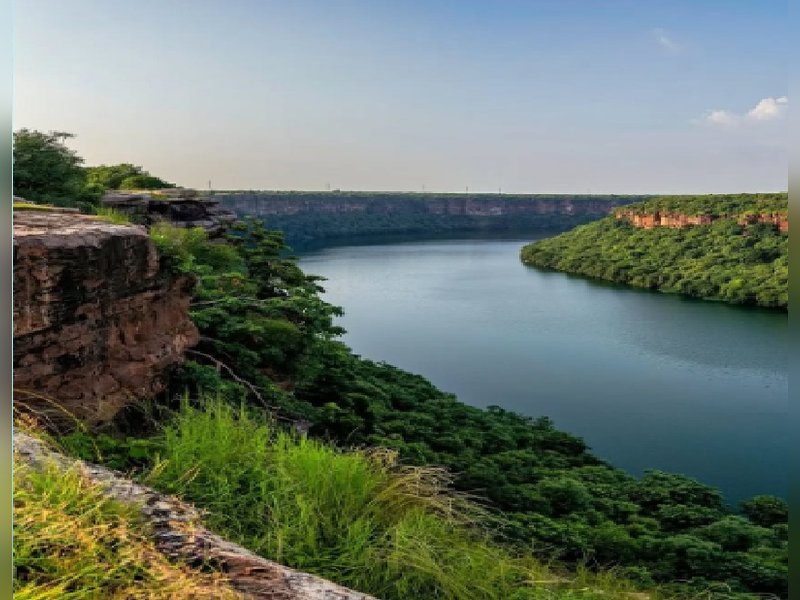 डाकुओं से नहीं, वन्यजीवों और सुंदरता से भरा है चंबल के बीहड़, नीली और साफ नदी देती है सुकून