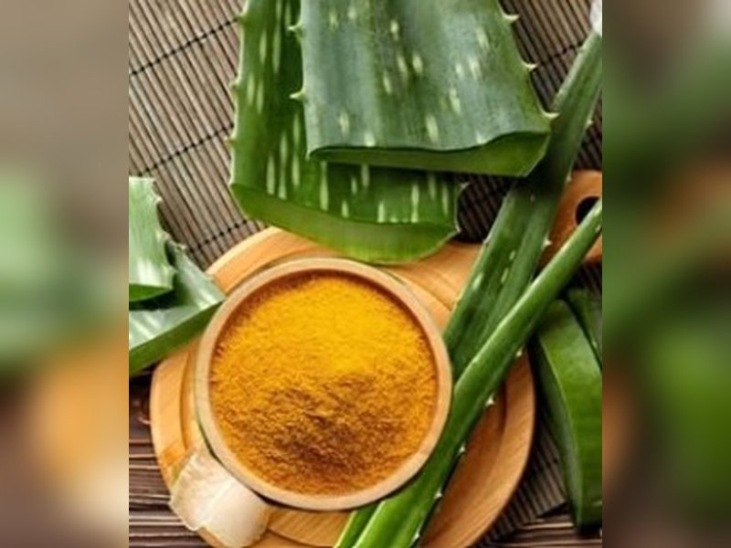 स्कैल्प की सफाई से मजबूती तक, गर्मियों में शैंपू-कंडिशनर नहीं एलोवेरा से बनेगी बात 