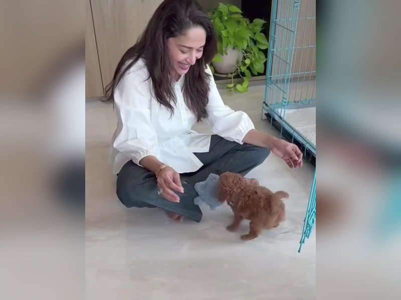 Madhuri Dixit shares a cute video of her playtime with her tiny pup, calls it a ‘gem in her archives’