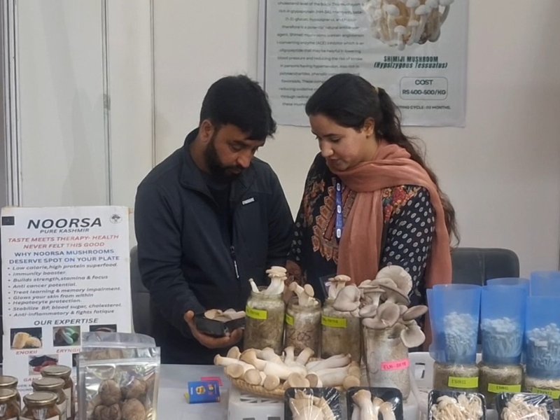श्रीनगर में अंतरराष्ट्रीय क्रेता-विक्रेता सम्मेलन का आयोजन, कश्मीरी एग्रो प्रोडक्ट्स के निर्यात को मिलेगा बढ़ावा