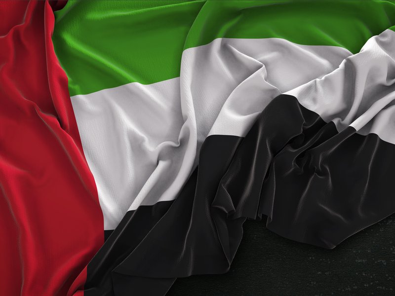 यूएई को हथियारों और सैनिकों से ज्यादा समर्थन को लेकर स्पष्टता की जरूरत है: राष्ट्रपति के सलाहकार