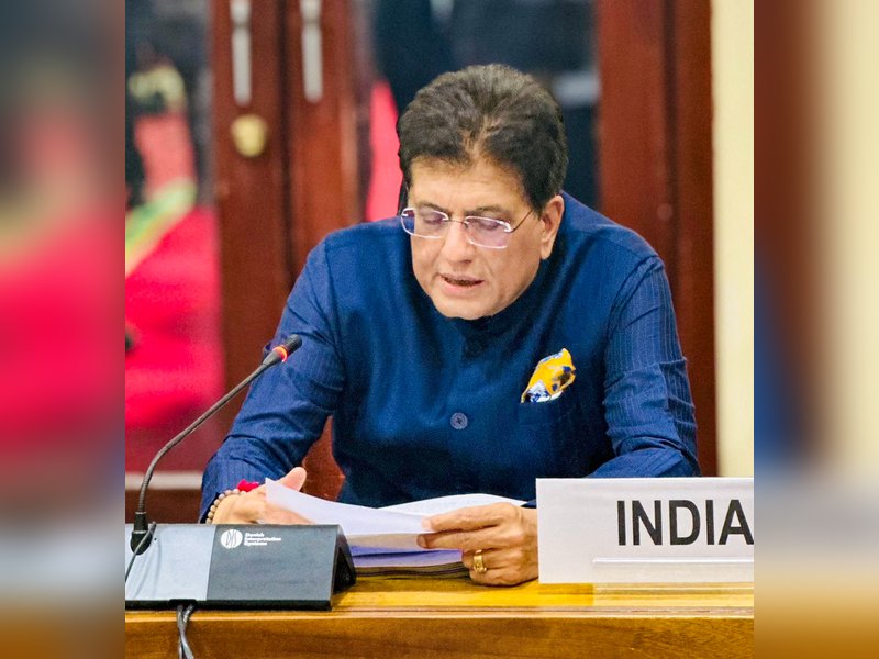 WTO must go for consensus-based decisions: Piyush Goyal