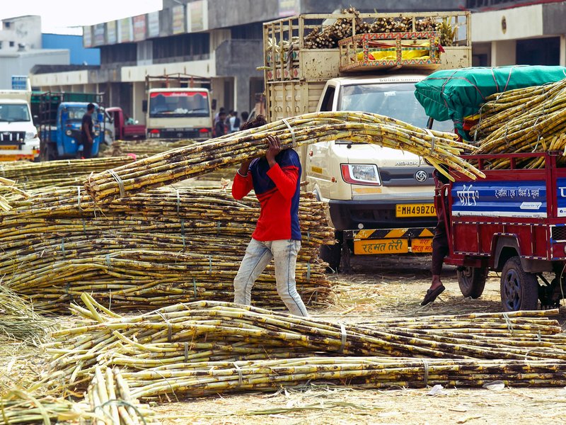 Centre withdrawing draft sugarcane control order for fresh review a welcome step: Minister