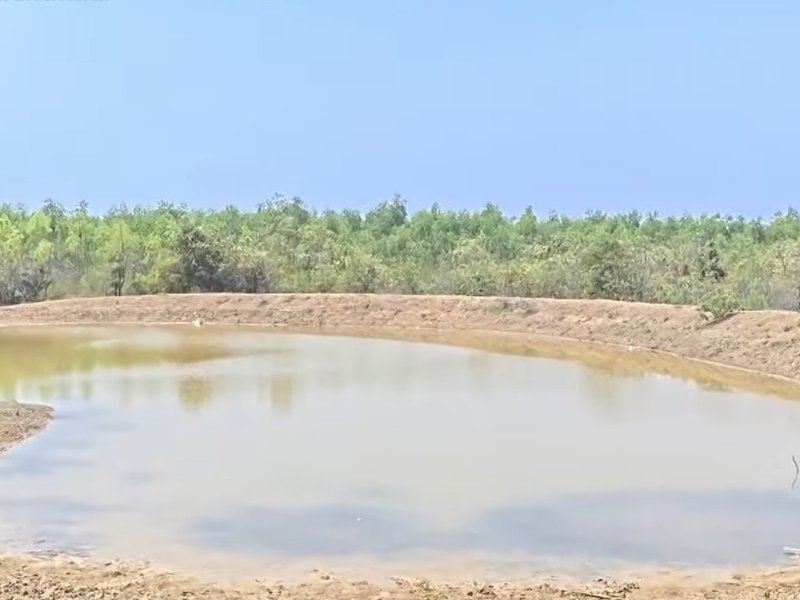 मन की बात: जल संरक्षण पर दोहराया संकल्प, पीएम मोदी ने त्रिपुरा-तेलंगाना और छत्तीसगढ़ के गांवों के प्रयासों को सराहा