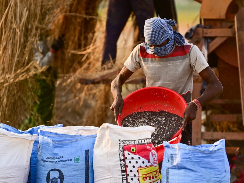 Uttar Pradesh leads in crop procurement through GeM portal, Gujarat and Maharashtra follow