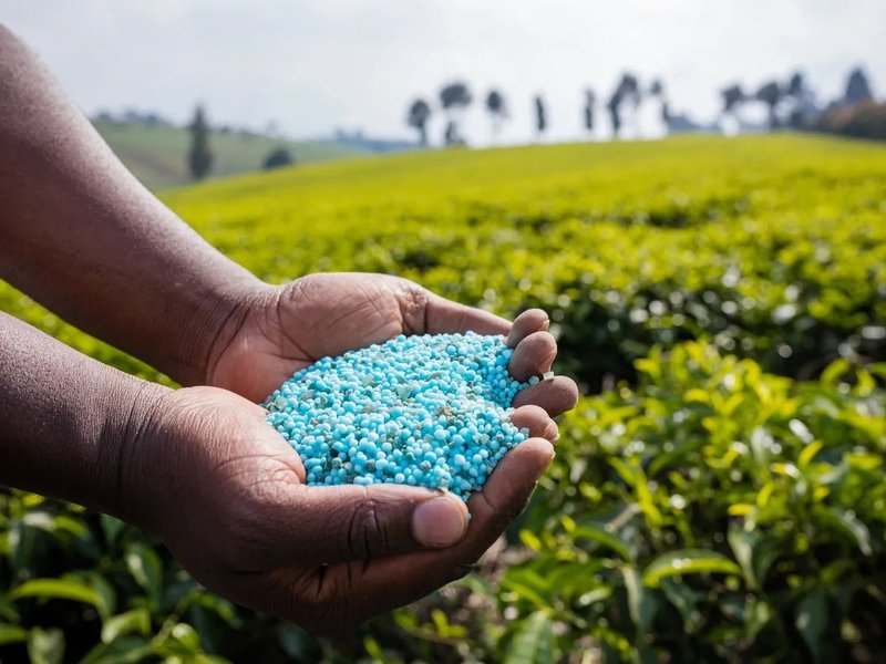 Adequate fertiliser stocks despite West Asia crisis, supply strains: Govt