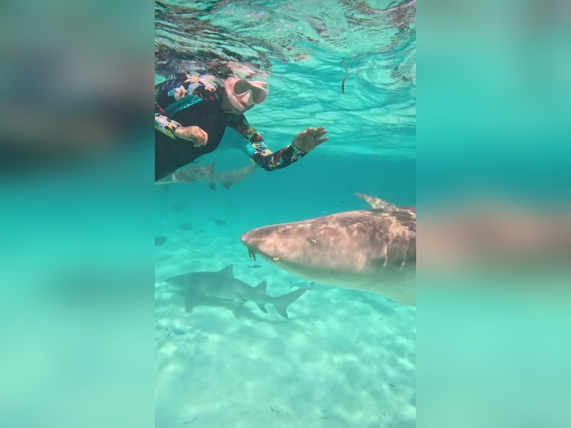 Hina Khan swims with sharks in the Maldivian sea