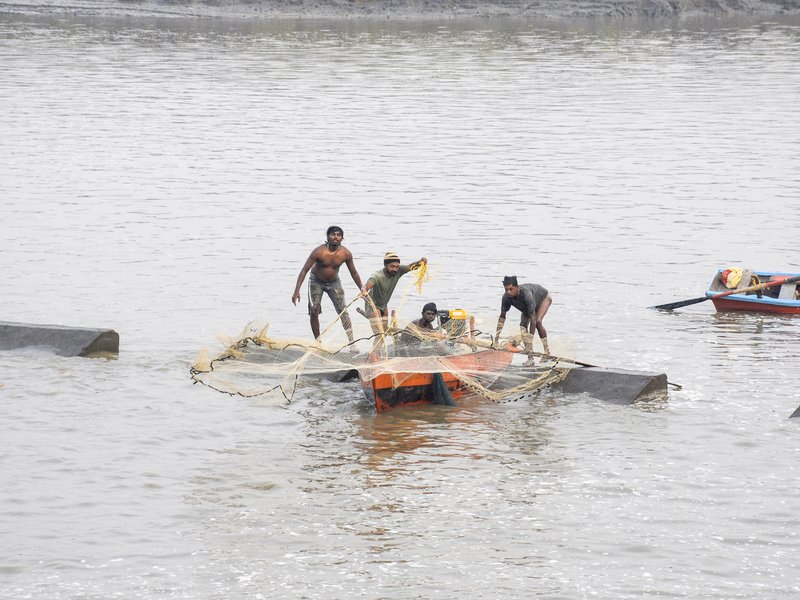 India's fisheries sector draws Rs 39,272 crore investment since 2015, seafood exports double
