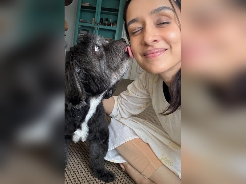 Shraddha Kapoor celebrates pet Shyloh’s 15th birthday, treats him with a special cake