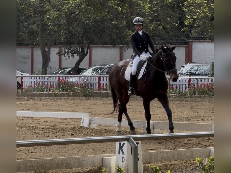 Mumbai's Stasya Pandya clinches dual Team medals at Delhi Horse Show 2026