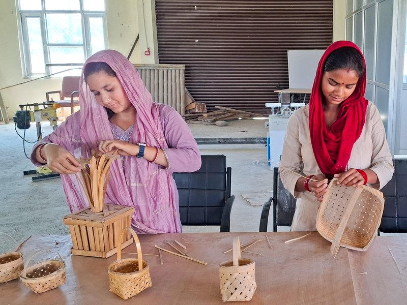 Govt targets to train over 6 lakh rural youth via RSETIs