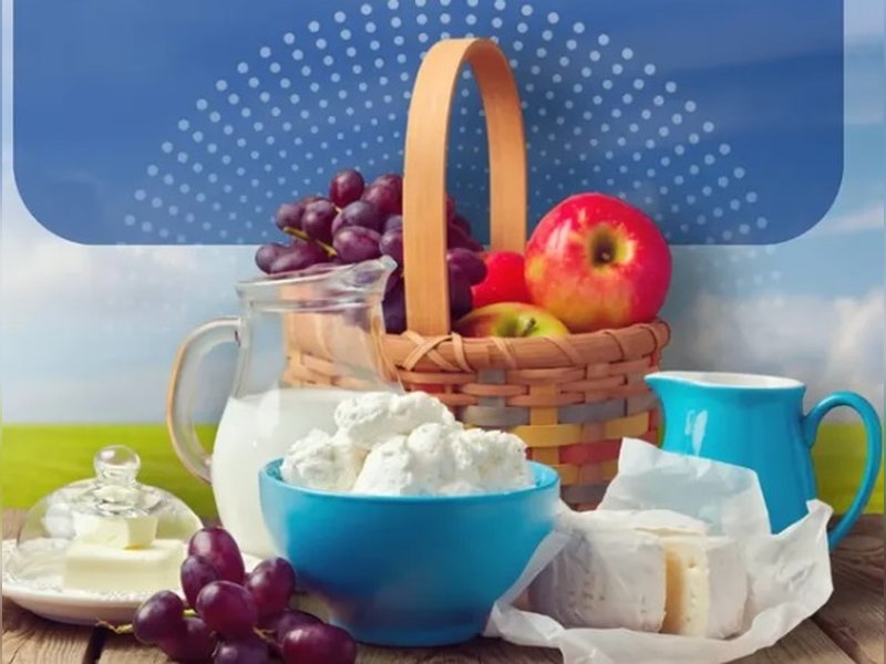 सुबह के नाश्ते में क्यों जरूरी है प्रोटीन, जानें प्लेट में क्या करें शामिल? 