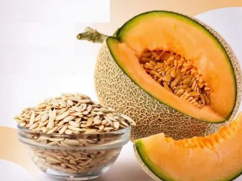  ‘खरबूजे के बीज’ : पोषक तत्वों से भरपूर सुपरफूड, इम्युनिटी बूस्ट तो ब्लड प्रेशर को करे कंट्रोल