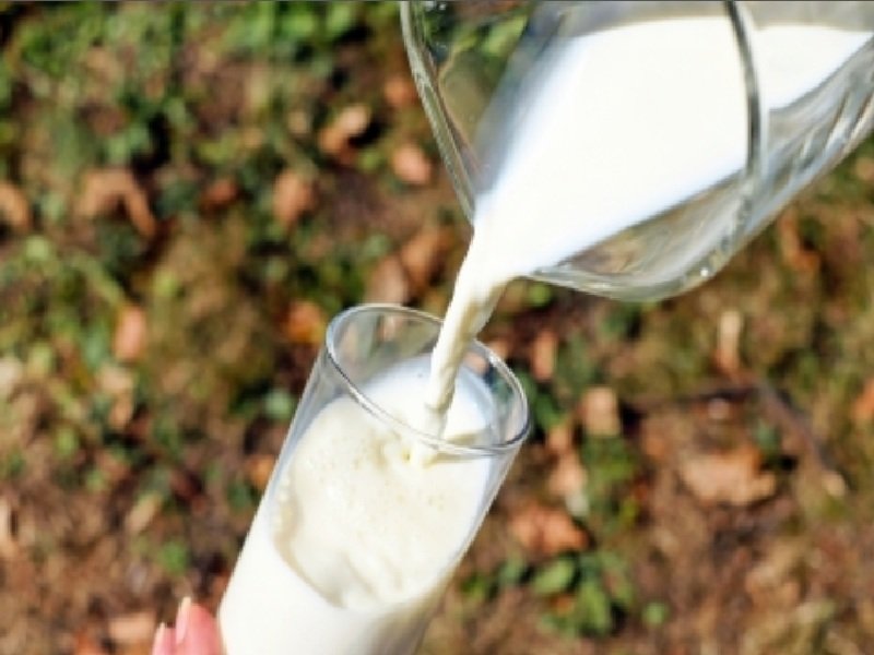 क्या आप भी पीते हैं सादा दूध, जानें गर्मियों में कैसे बढ़ाए दूध के औषधीय गुण