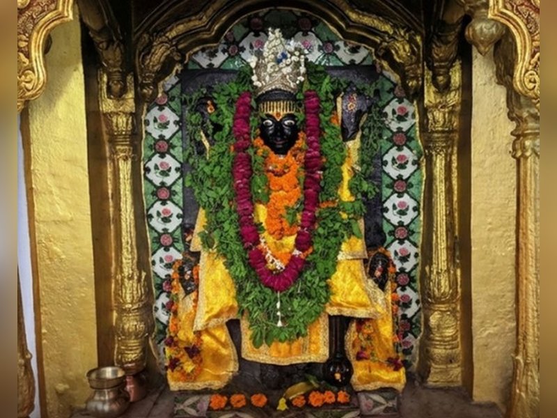 वरूथिनी एकादशी : नारायण की आराधना का सर्वोत्तम दिन, नोट कर लें शुभ-अशुभ समय 