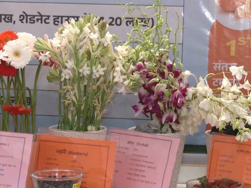 रायसेन कृषि महोत्सव में 'स्मार्ट' खेती, ड्रैगन फ्रूट और ड्रिप सिंचाई को बढ़ावा देने की दी जानकारी 