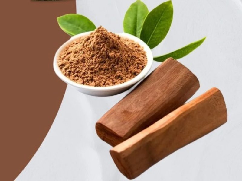 चंदन : खून की सेहत सुधारने वाली अनमोल लकड़ी, डायबिटीज के मरीजों के लिए फायदेमंद