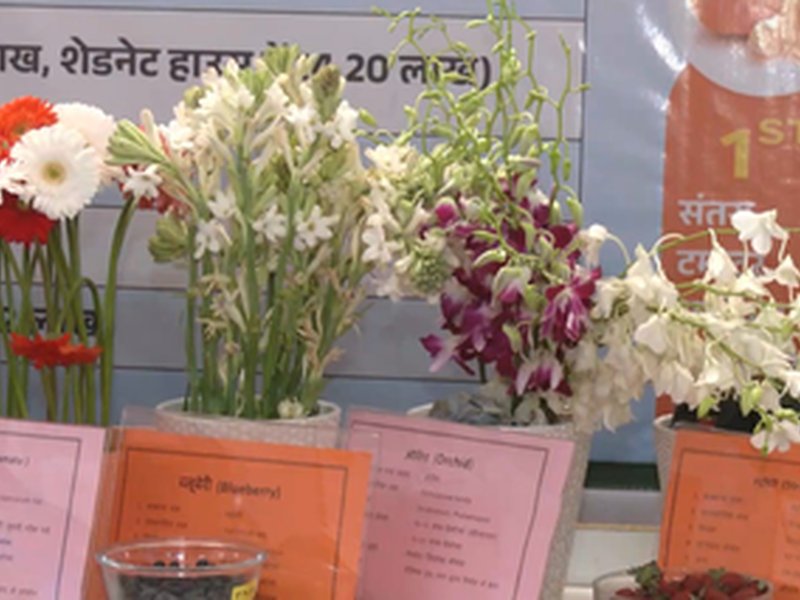 MP: Drip irrigation, smart farming take center stage at Raisen Agriculture Festival (Photo: IANS)