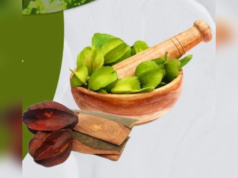 ब्लड प्रेशर और कोलेस्ट्रॉल नियंत्रित करने में मददगार अर्जुन की छाल