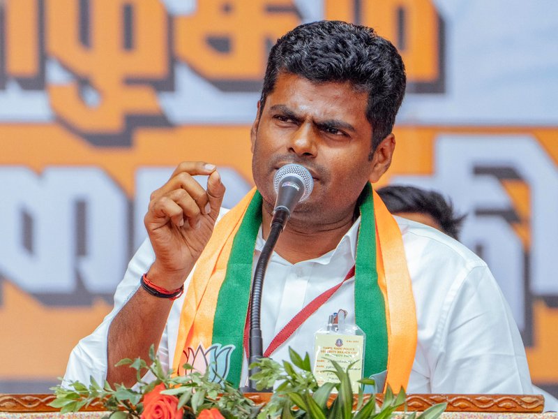 Annamalai hits out at Stalin's 'warning' on delimitation, accuses him of 'fear-mongering'