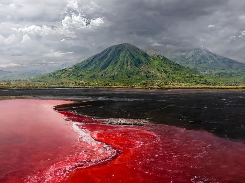 गर्म, खारा और क्षारीय... तंजानिया का रहस्यमयी झील, जहां 'लाल पानी' का दिखता है खतरनाक रूप