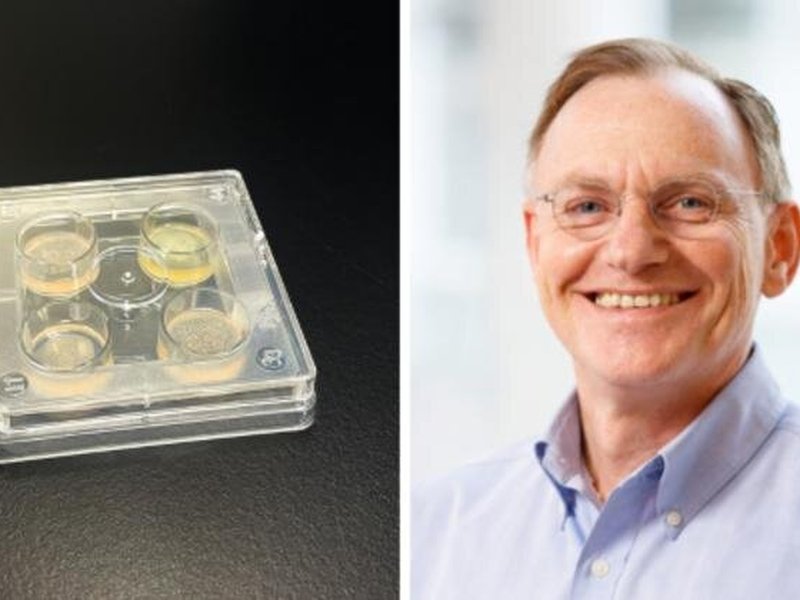 50 researchers reveal 5 steps to combat drug‑resistant fungi