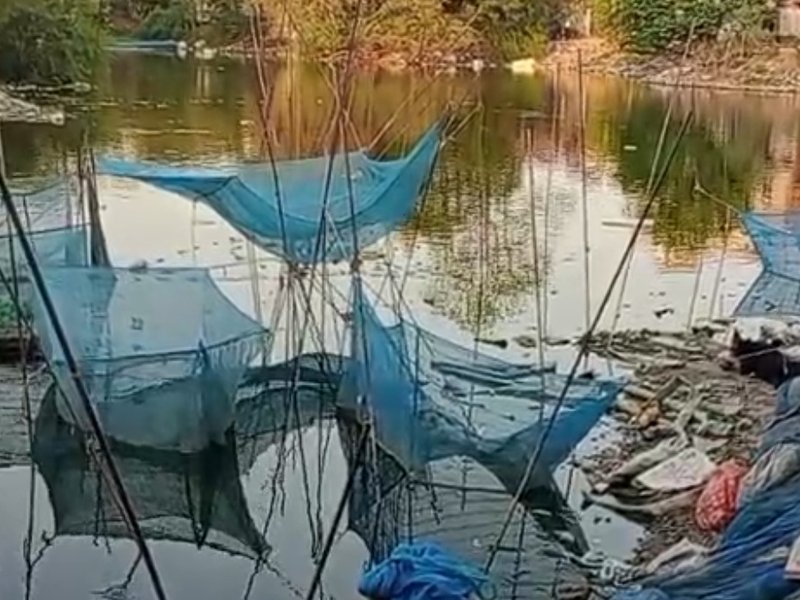 Biofloc Technology boosts fish farming in Palamu under PMMSY, farmers see rise in income