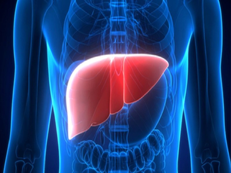 स्वस्थ लिवर के लिए आयुष मंत्रालय का सुझाव, अपनाएं आयुर्वेदिक डाइट और माइंडफुल ईटिंग
