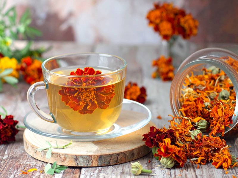 कमल, गुड़हल से मौलश्री तक... गर्मियों में ट्राई करें 'फूलों' से बनी चाय, पूरे दिन बनी रहेगी ताजगी और एनर्जी