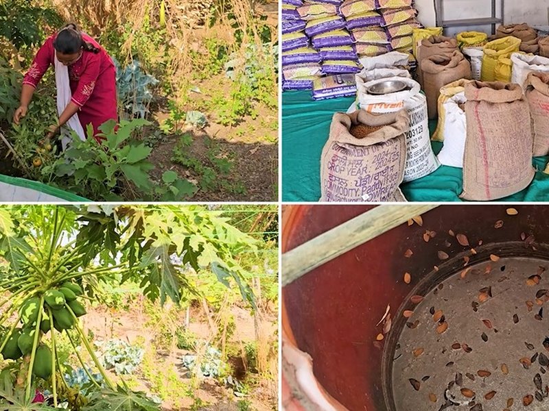 जीरो बजट फार्मिंग की मिसाल बनीं तापी की महिला किसान अरविंदाबेन, उगा रहीं 22 फसलें