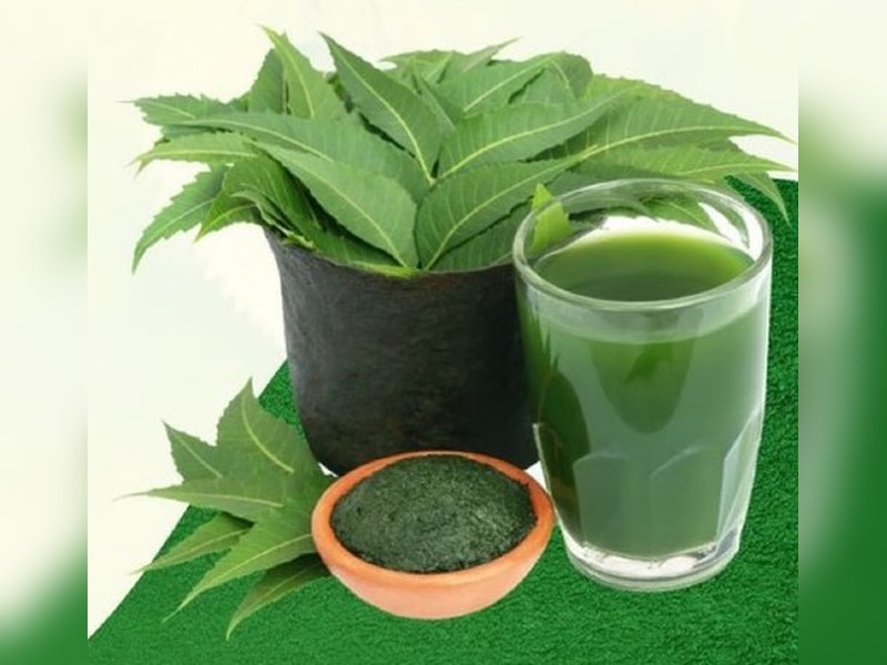 फायदेमंद है ये कड़वाहट : बीमारियों का काल तो लिवर के लिए 'सुरक्षा कवच' की तरह काम करता है नीम