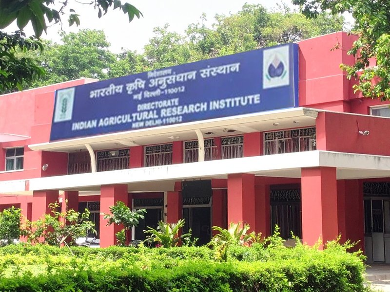 आईएआरआई भर्ती 2026: फील्ड असिस्टेंट वर्कर और यंग प्रोफेशनल पदों के लिए आवेदन शुरू, इंटरव्यू 11 मई को