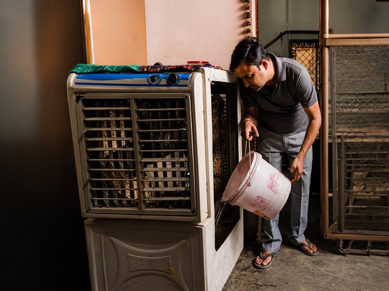 कूलर के पानी में डालें ये छोटी सी चीज, बदबू और मच्छरों से मिलेगी राहत