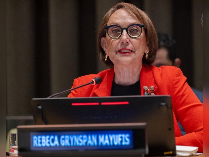 UNSC will carry weight if it represents today's world, says UN secretary-general candidate Grynspan