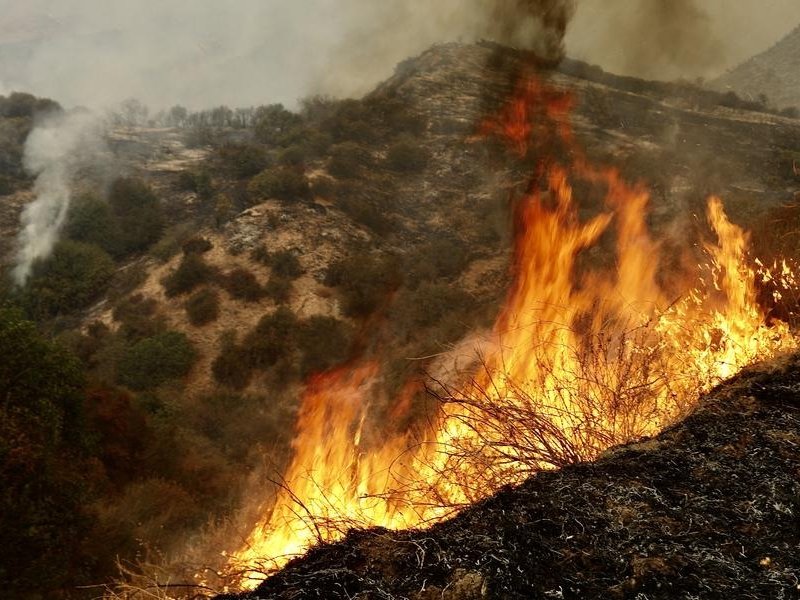 जापान के जंगलों में तेजी से फैल रही आग, करीब 1,200 हेक्टेयर इलाका जलकर हुआ खाक