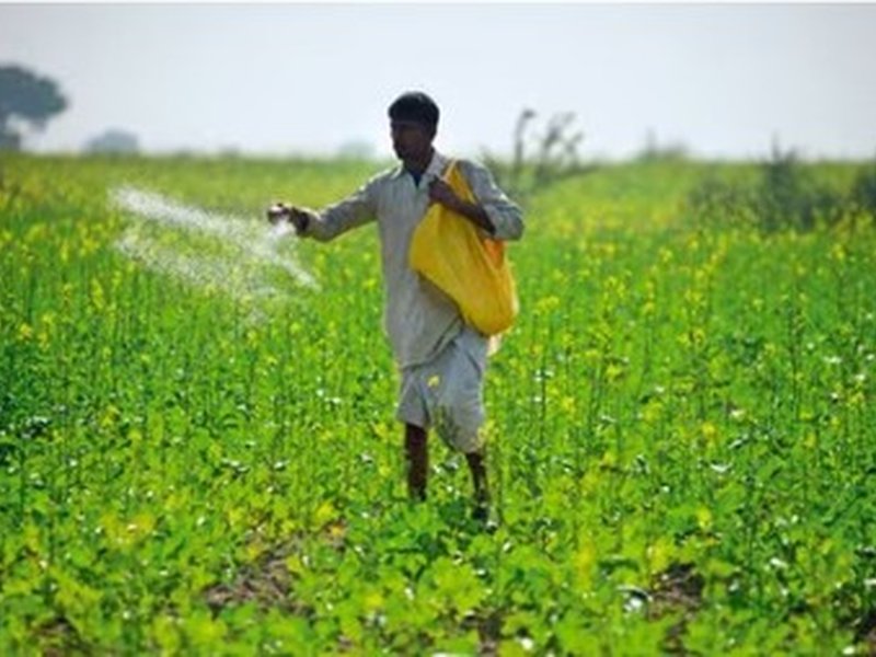 Fertiliser supply strong, stable and above requirement across India: Govt