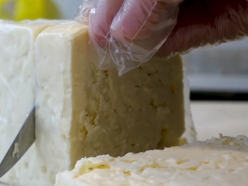 Indian cheese making its mark globally: PM Modi says India's taste reaching world