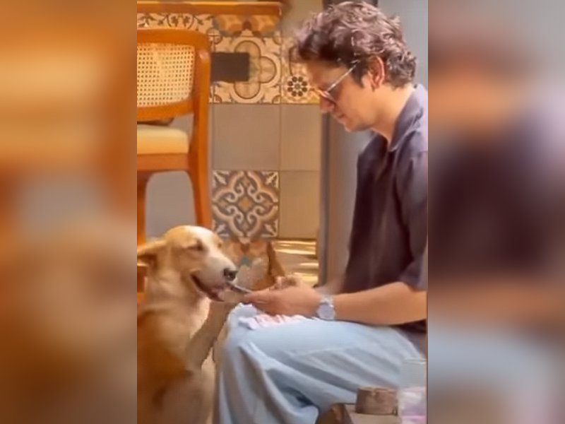 Vijay Varma shares a hilarious take on how the disaster alert caught him off guard