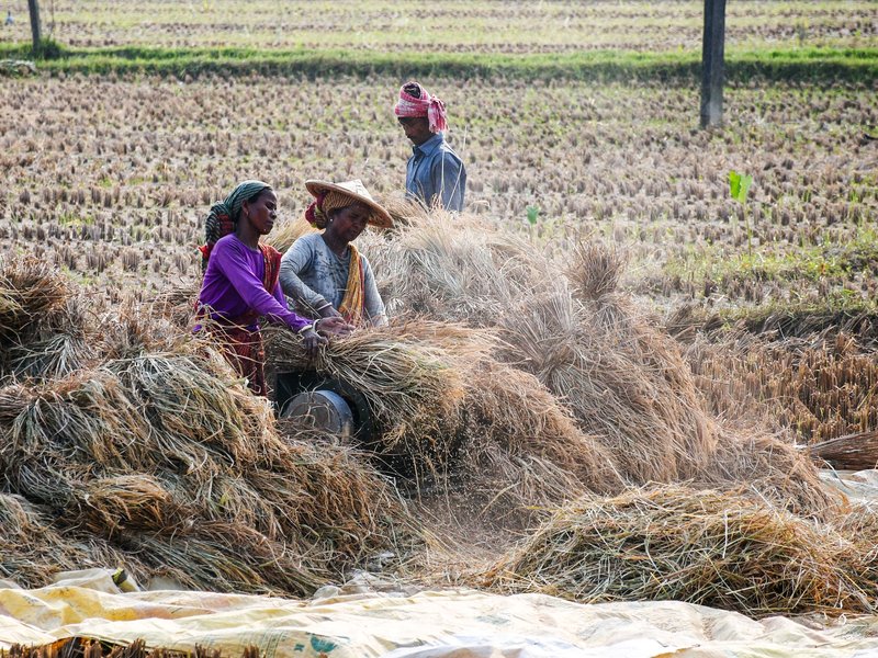 Time for greater workforce formalisation, expansion of social security coverage: SBI report